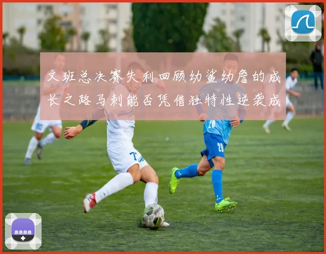 文班总决赛失利回顾幼鲨幼詹的成长之路马刺能否凭借独特性逆袭成功